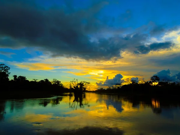 Amazon Nehri, Amerika — Stok fotoğraf