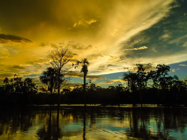 Amazon nehri gün batımında — Stok fotoğraf