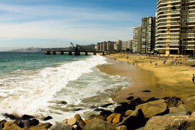 Fotoğraf: Tomada en un codor al paso in Argentina