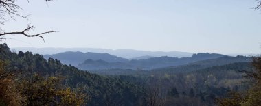 Yazın gelen resim seçimi