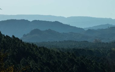 Yazın gelen resim seçimi