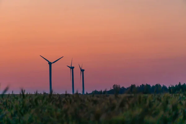 日落时 麦田里的风力涡轮机 有风力涡轮机的美丽风景 — 图库照片