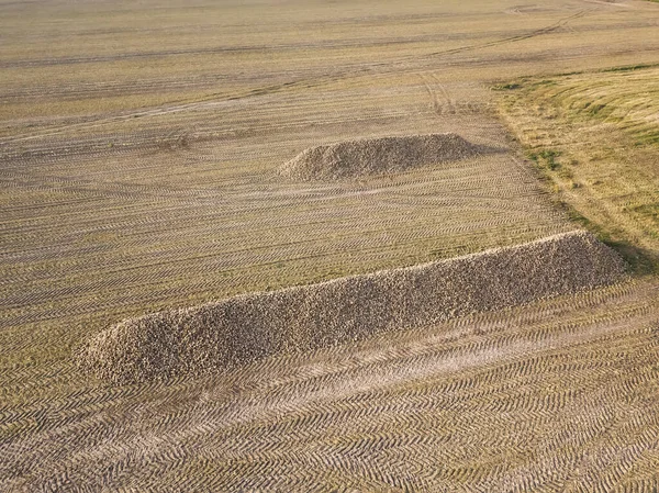从地面上一堆甜菜上的无人机上看到的 秋天的收获 农业工业 — 图库照片