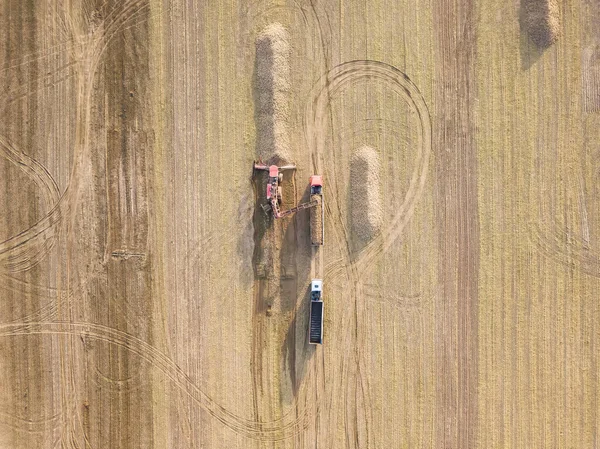 Drone view of a tractor, a combine harvester that loads sugar beets into a truck in the middle of a field, top view. Agricultural work. Sugar beet harvesting