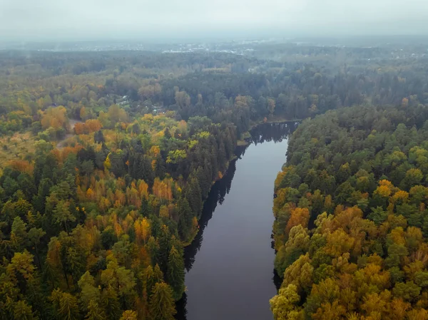 Pohled Ptačí Perspektivy Krásnou Řeku Barevný Podzimní Les Oblačného Dne — Stock fotografie