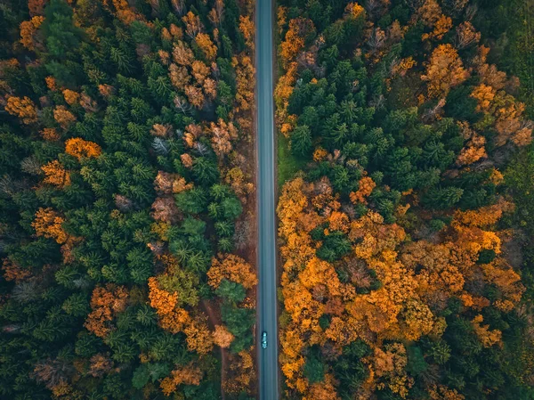 Kocsikázik Úton Egy Gyönyörű Őszi Erdőben Fénykép Egy Drónról Gyönyörű — Stock Fotó