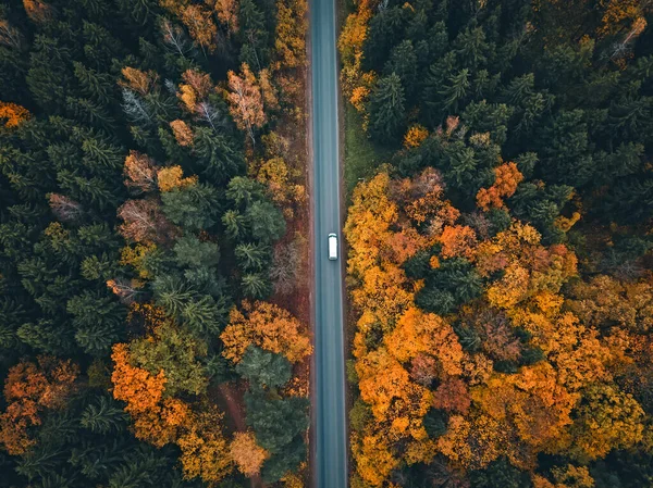 Kocsikázik Úton Egy Gyönyörű Őszi Erdőben Fénykép Egy Drónról Gyönyörű — Stock Fotó