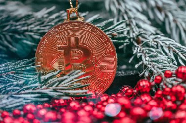 Bir Noel ağacının karlı dalında asılı duran kırmızı boncuklu altın bitcoin. Güzel Noel, Bitcoin 'li yeni yıl geçmişi
