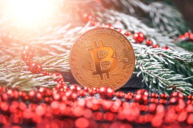 Noel ağacının kar dalları arasında kırmızı boncuklu altın bitcoin. Güzel bir Noel, Bitcoin ile yeni yıl geçmişi. Aydınlatma ile fotoğraf