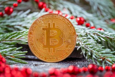 Noel ağacının kar dalları arasında kırmızı boncuklu altın bitcoin. Güzel Noel, Bitcoin 'li yeni yıl geçmişi