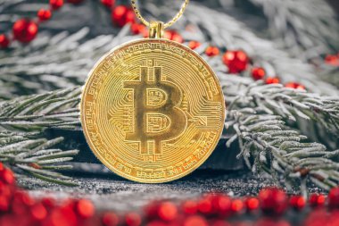 Bir Noel ağacının karlı dalında asılı duran kırmızı boncuklu altın bitcoin. Güzel Noel, Bitcoin 'li yeni yıl geçmişi