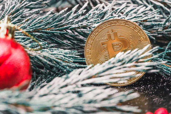 Bitcoin Steht Zwischen Einem Fichtenzweig Mit Schnee Weihnachtskugeln Perlen Auf — Stockfoto