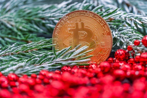 Bitcoin Großaufnahme Steht Zwischen Einem Fichtenzweig Mit Schnee Roten Perlen — Stockfoto