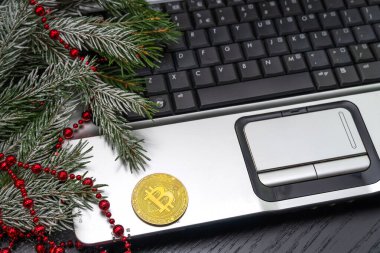 Bitcoin dizüstü bilgisayarında bir Noel ağacının kar dalıyla ve kırmızı boncuklarla duruyor. Kripto para birimi. Noel