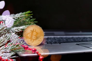 Bitcoin bir dizüstü bilgisayarın klavyesinde duruyor. Yılbaşı ağacı kar dalı ve kırmızı boncuklar, arka planda siyah bir ekran. Kripto para birimi. Noel