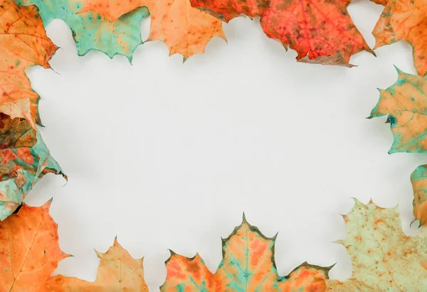 Weißes Blatt Papier Mit Herbstlichen Ahornblättern Mit Einer Kopie Des — Stockfoto