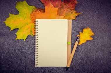 Akçaağaç, meşe yaprakları, arka planda koyu renkli kalem ve kopya alanı olan beyaz Notepad. Sonbahar kayıt davaları konsepti, tasarım, üst görünüm. Düz yatıyordu.