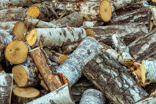 large pile of birch wood close up. tree is cut into logs, the house or bathhouse is heated with birch wood. Birch wood is the best fuel for the stove