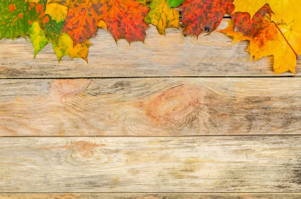 Schöne Helle Herbstblätter Auf Einem Hölzernen Hintergrund Darüber Mit Kopierraum — Stockfoto