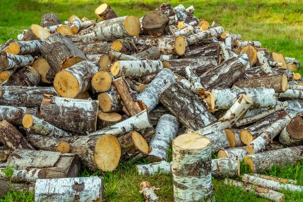 large pile of birch wood close up. tree is cut into logs, the house or bathhouse is heated with birch wood. Birch wood is the best fuel for the stove