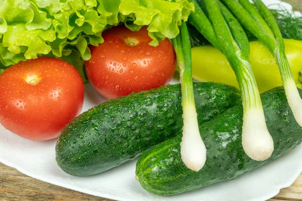 Schönes Frisches Saftiges Gemüse Mit Wassertropfen Auf Einem Weißen Teller — Stockfoto