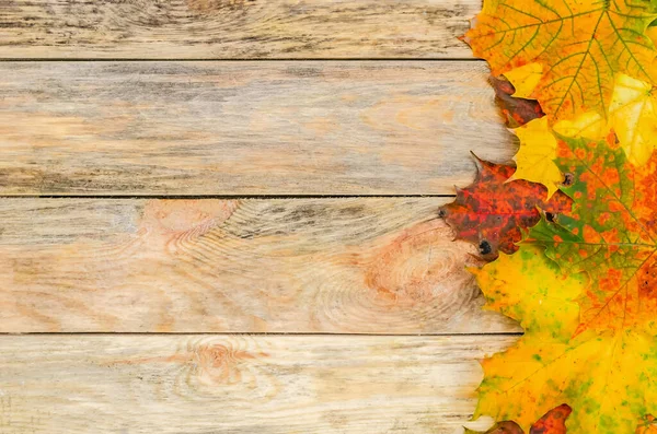 Schöne Helle Herbstblätter Auf Einem Hölzernen Hintergrund Der Seite Mit — Stockfoto