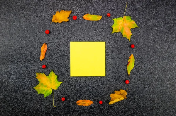 Creative composition in the form of a circle of autumn maple leaves, Rowan and red berries on a black ground with a piece of paper for notes with a copy of the space. Flat lay.