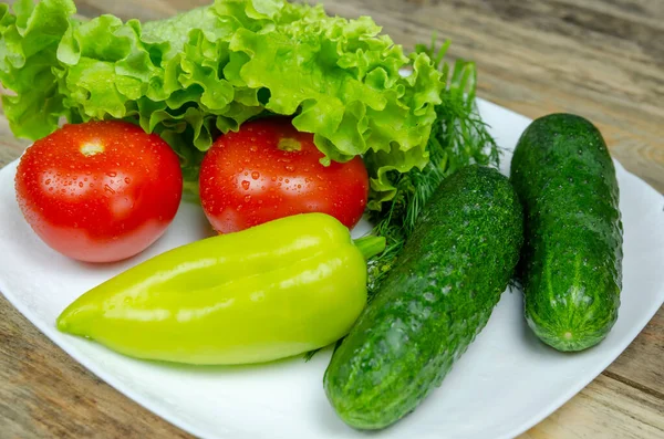 Frisches Saftiges Gemüse Paprika Tomaten Gurken Salatblätter Mit Wassertropfen Schön — Stockfoto