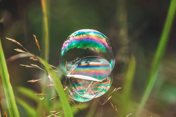 Mooie Natuurlijke Achtergrond Zeepbel Onder Het Gras Weide — Stockfoto