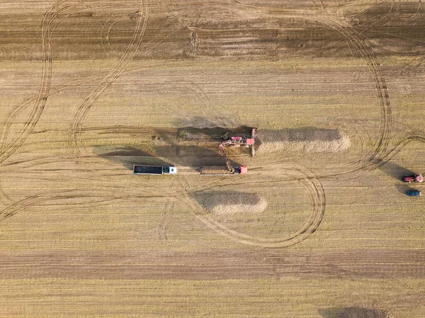 Drone Vista Tractor Una Cosechadora Que Carga Remolacha Azucarera Camión — Foto de Stock