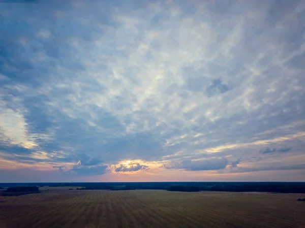 Survoler Une Belle Forêt Verdoyante Champ Campagne Coucher Soleil Vue — Photo