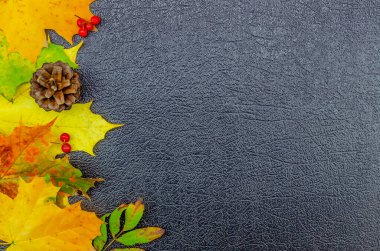 Sonbahar yapraklı parlak sonbahar arkaplanı, Rowan böğürtleni, siyah desenli arka planda çam kozalağı, uzay kopyası, üst manzara. Güzel sonbahar arkaplanı