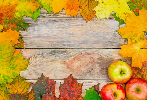 Hojas Coloridas Otoño Manzanas Sobre Fondo Madera Con Una Copia —  Fotos de Stock