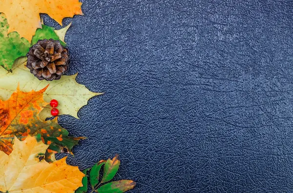 Heller Herbsthintergrund Mit Herbstblättern Vogelbeeren Kiefernzapfen Auf Blauem Hintergrund Mit — Stockfoto
