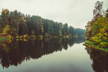 Ormanın güzel manzarası, bulutlu bir sonbahar gününde göl. Doğanın güzel sonbahar manzarası