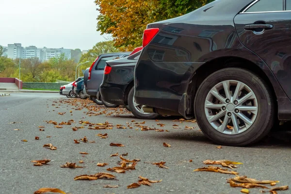 Rear bumpers of cars in the Parking lot with fallen autumn leaves. Photo from the side. Car parking
