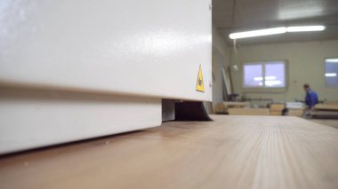 Kenar bantlı bir makinenin tahta parçasının yakın çekimi. Marangoz atölyesinde ahşap çalışma makinesi. Mobilya üretimi için dükkan.