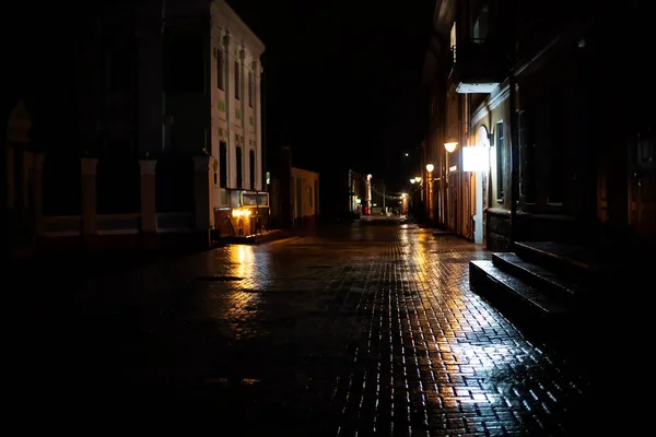 レンガ造りの道路の氷 雨で覆われた街の夜景 歩行者のための安全でない道路の概念 — ストック写真