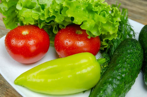 Frisches Saftiges Gemüse Paprika Tomaten Gurken Salatblätter Mit Wassertropfen Schön — Stockfoto