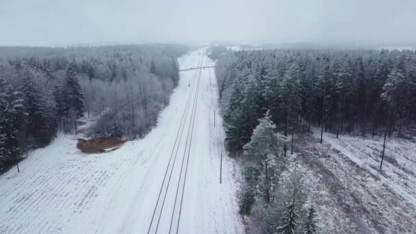 Foresta invernale e ferrovia innevata alberi invernali paesaggio aereo Vista. — Video Stock