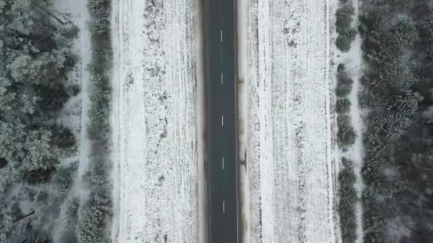 Движение беспилотника по заснеженной дороге и зимнему лесу. — стоковое видео