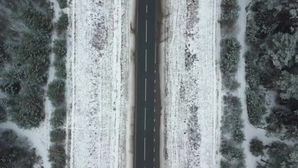 Движение беспилотника по заснеженной дороге и зимнему лесу. — стоковое видео