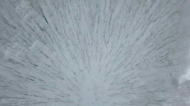 Kış ormanı doğası karla kaplı kış ağaçları havadan manzaralı..