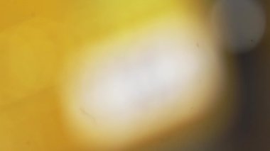 Mogilev, Belarus-13 Ağustos 2020: VISA kredi kartı