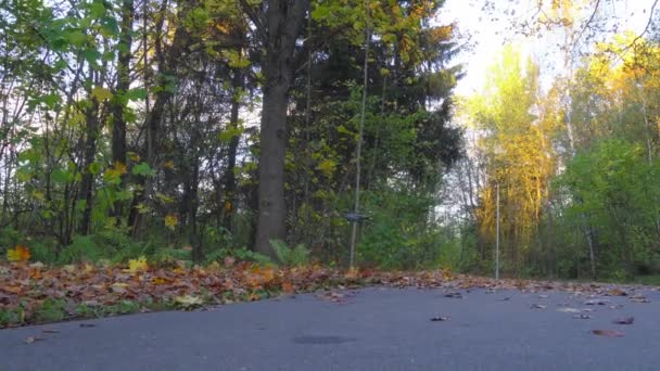 Quadcopter vole bas au-dessus du sol, soulevant les feuilles tombées dans l'air — Video