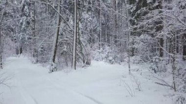 Karlı havada karlı bir orman yolunda İHA kamera uçurmak