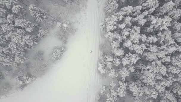 Unbekümmert wedelt eine junge Frau mit Armen und Beinen in einer Schneewehe. Engel — Stockvideo