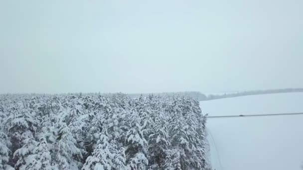 Winterwald Natur schneebedeckte Winterbäume Landschaft. Luftaufnahmen . — Stockvideo