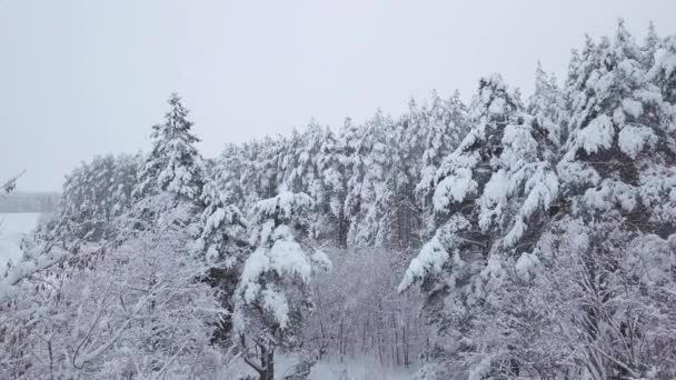 雪の降る森の道を飛ぶドローンカメラ — ストック動画