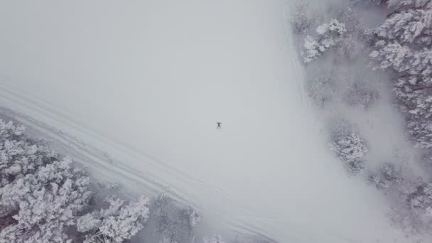 雪のドリフトで彼女の腕や足を振って気をつけて若い女性。天使 — ストック動画